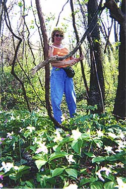 Martha Sundquist State Forest