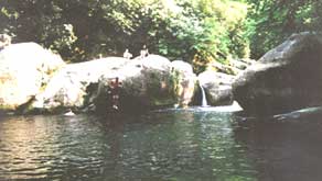 Swimming